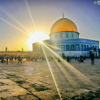 Telegram profile photo for 📢نبض القدس🇵🇸