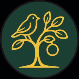 Telegram profile photo for Ne’mat Travel 🕊️🕋