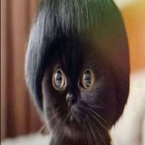 Telegram profile photo for Канал макSLIMUS'а