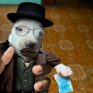 Telegram profile photo for Shivrolezha