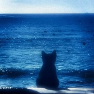 Telegram profile photo for آیـتای