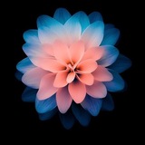 Telegram profile photo for ๐๐๐๐๐๐๐.