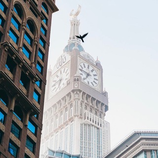 Telegram profile photo for مزامير الذكر