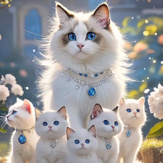 Telegram profile photo for Рэгдолл (Ragdoll) - продажа элитных котят (рэгдол, регдолл, регдол)