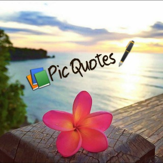 Telegram profile photo for Pic Quotes
