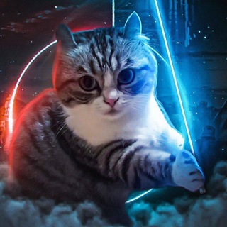 Telegram group profile photo for Логово Котяры 😽
