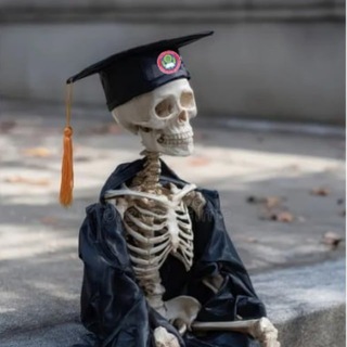 Telegram profile photo for CNCS memes™