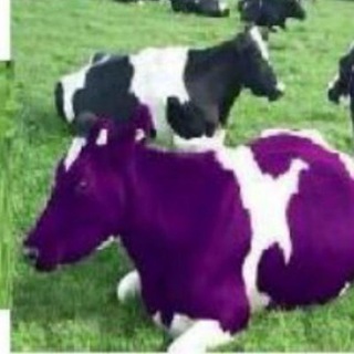 Telegram profile photo for گاو بنفش بورس 'h,