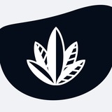 Telegram profile photo for MSIGs Jungle