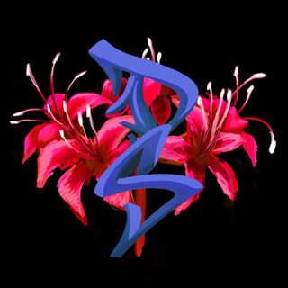 Telegram profile photo for DS