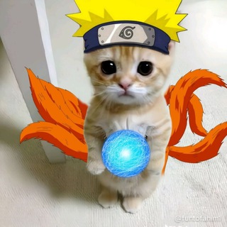 Telegram profile photo for earning10429