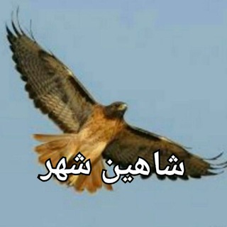 Telegram profile photo for شاهین شهر زیبا