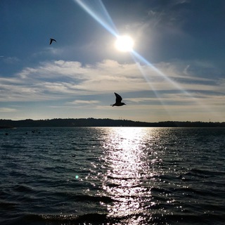Telegram profile photo for Nature photographer