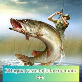 Telegram profile photo for 👍❤️Рыбалка❤️👍