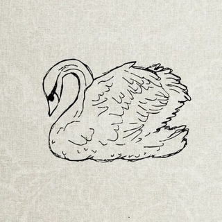 Telegram profile photo for She