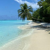 Telegram profile photo for ᯓThᴇriᴀn Islᴀnd H๑usᴇ🌴