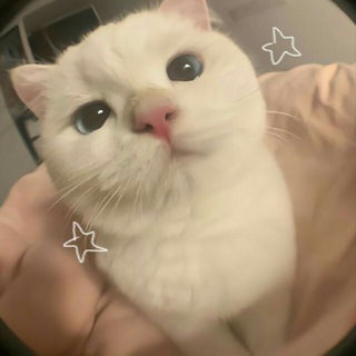 Telegram profile photo for arsip @regulerr