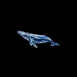 Telegram profile photo for Exp3ns1ve?