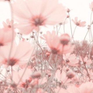 Telegram profile photo for إيجابيّات🌸