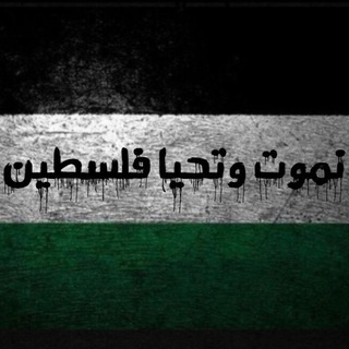 Telegram profile photo for Eyes on palestine🇵🇸