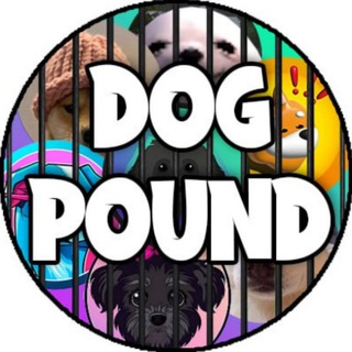 Telegram profile photo for $Pound - DogPound | Solana | LAUNCHING THURSDAY 🔥