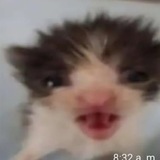Telegram profile photo for Тихое убежище 😝