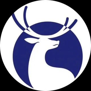 Telegram profile photo for 瑞幸出海供需-海外项目资源