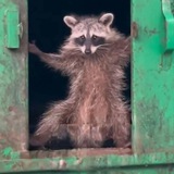 Telegram profile photo for Гении Банврума