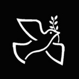 Telegram profile photo for Шумы России новости и анонсы