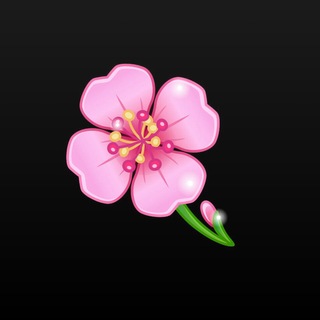 Telegram profile photo for В.
