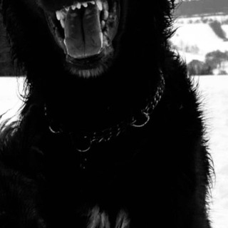 Telegram profile photo for Playlist