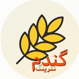 Telegram profile photo for 🌾كترينگ گندم🌾