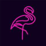 Telegram profile photo for FlaminGO - trading