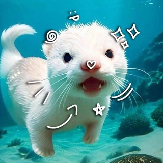 Telegram profile photo for Шаурмяу ^._.^