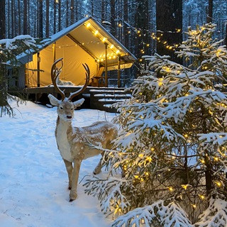 Telegram profile photo for Eco Park CANADA