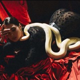 Telegram profile photo for حـيـة🐍🔥