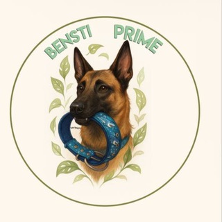 Telegram profile photo for 𝑩𝑬𝑵𝑺𝑻𝑰 𝑷𝑹𝑰𝑴𝑬🪶