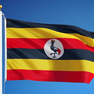 Telegram profile photo for MARKET UGANDA