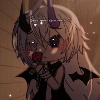 Telegram profile photo for прайс Вилли