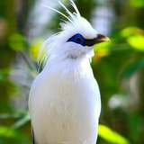 Telegram profile photo for قُلْبٌ مُطمَئِن🫀🕊
