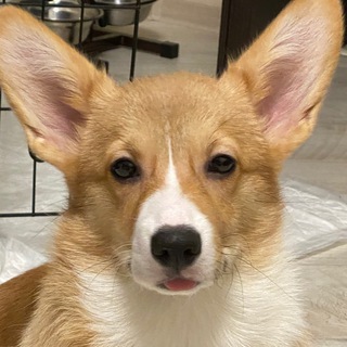 Telegram profile photo for AndyФу
