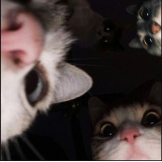 Telegram profile photo for МамаСисичная