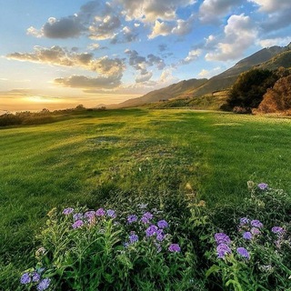 Telegram profile photo for مِـشْـكَـاةُ الـهُـدَى
