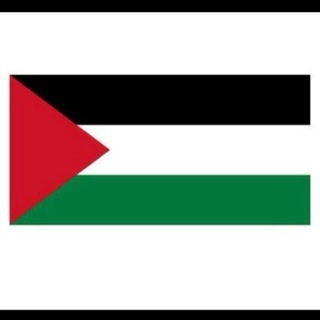 Telegram profile photo for O|T|P Bot Palestine v2.0