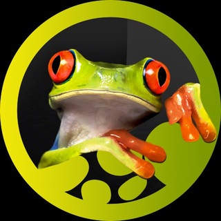 Telegram profile photo for Panteric 🐸 Экзотические Животные