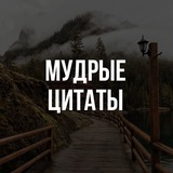Telegram profile photo for Мудрые цитаты