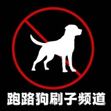 Telegram profile photo for 跑路狗刷子曝光群