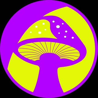 Telegram profile photo for 🚨 Fungo Live 🚨