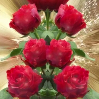 Telegram profile photo for حریم ناب