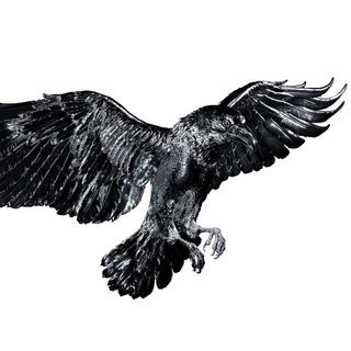 Telegram profile photo for UGND.WRLD